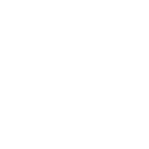 consulatncy icon white